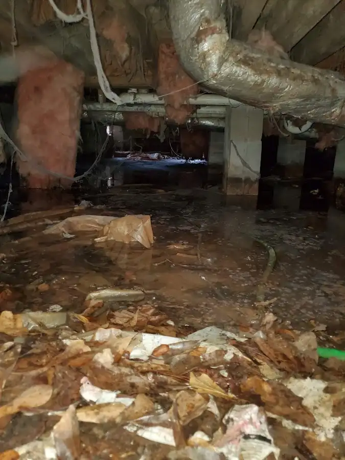 Crawl space flood assessment for Commercial Water Damage Restoration in Baxter